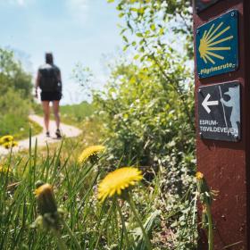 Tisvildevejen fra Hillerød til Melby Overdrev