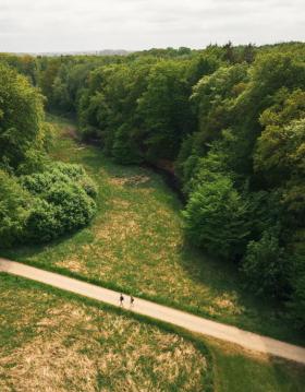 Tisvildevejen fra Hillerød til Melby Overdrev